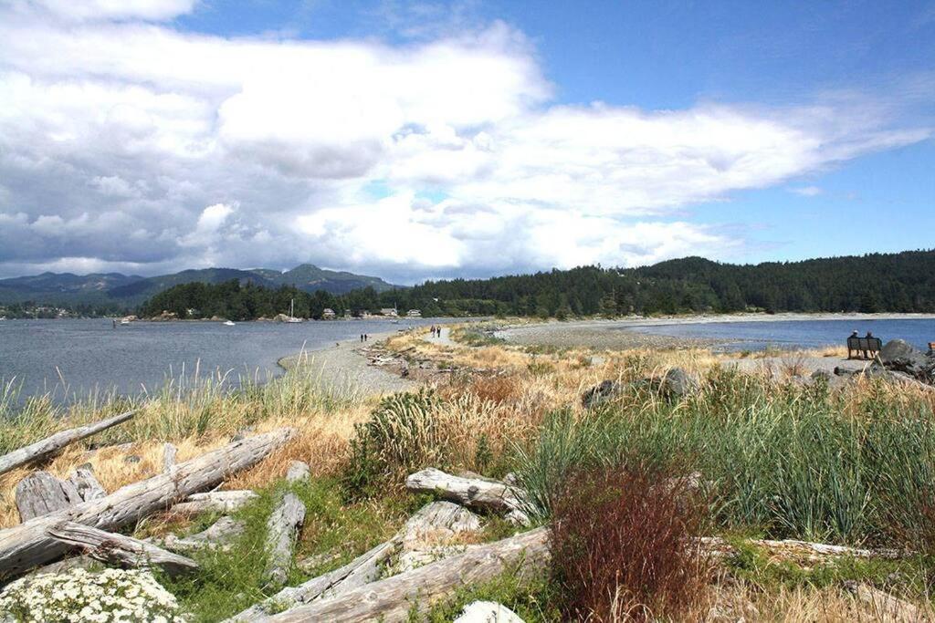 Seagull Vacation Sooke